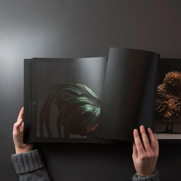 photography coffee table book
